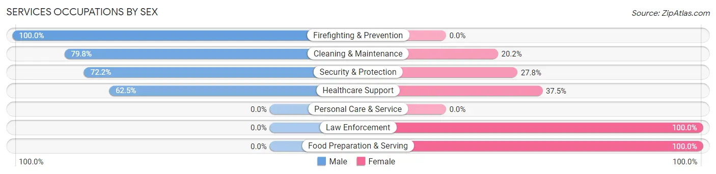 Services Occupations by Sex in Zip Code 37860