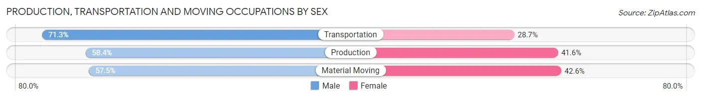 Production, Transportation and Moving Occupations by Sex in Zip Code 37861