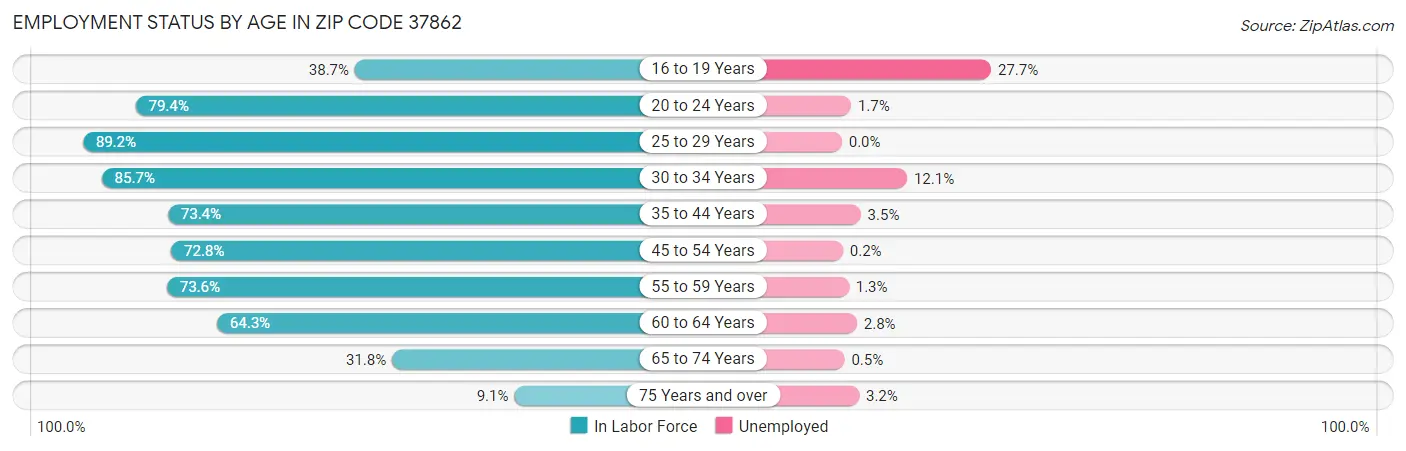 Employment Status by Age in Zip Code 37862