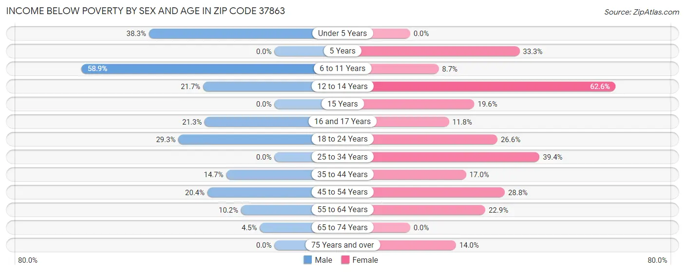 Income Below Poverty by Sex and Age in Zip Code 37863