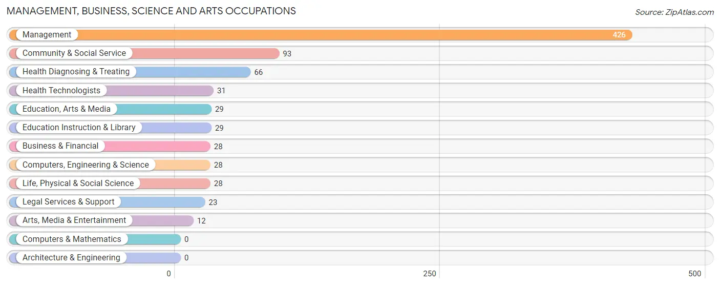 Management, Business, Science and Arts Occupations in Zip Code 37863