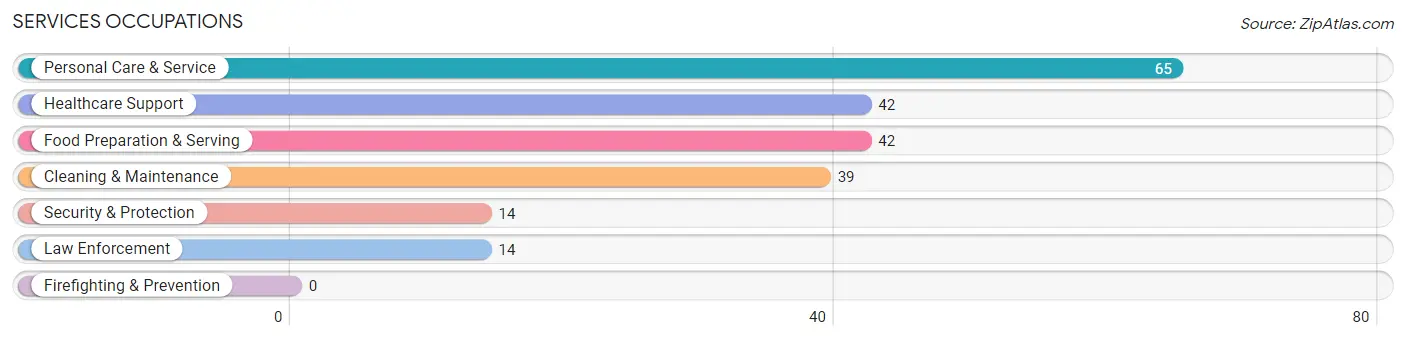 Services Occupations in Zip Code 37870