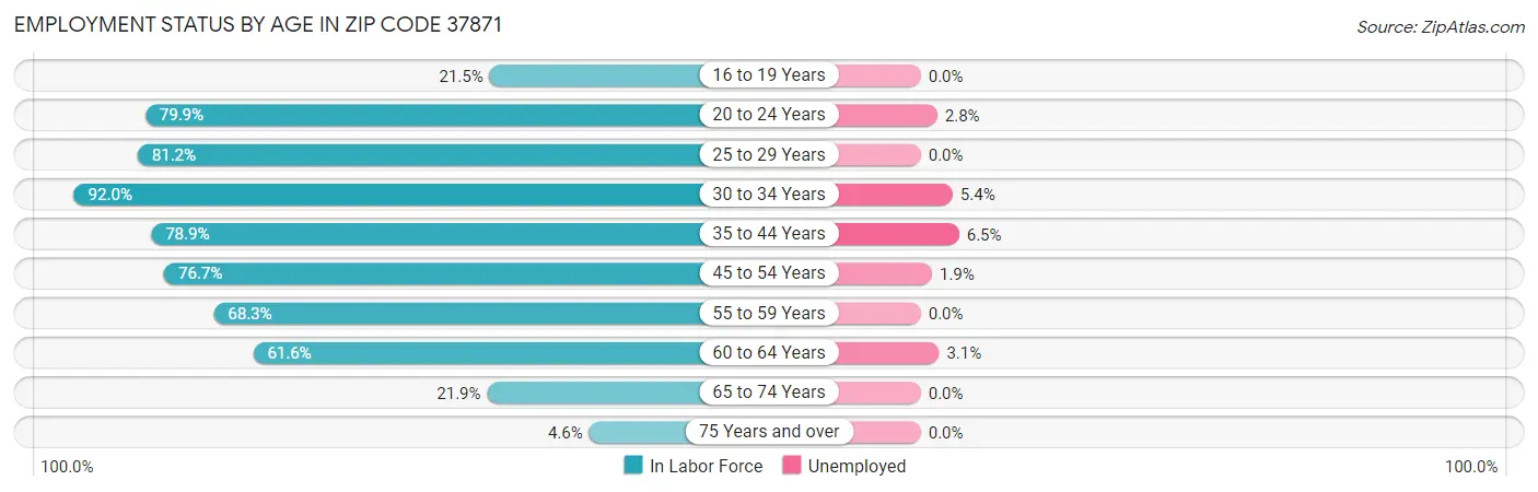 Employment Status by Age in Zip Code 37871