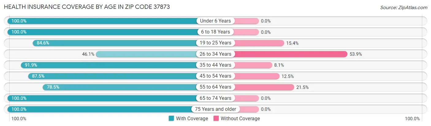 Health Insurance Coverage by Age in Zip Code 37873