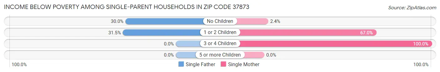 Income Below Poverty Among Single-Parent Households in Zip Code 37873