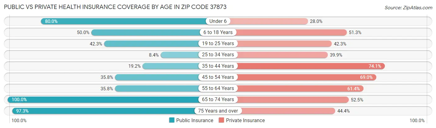 Public vs Private Health Insurance Coverage by Age in Zip Code 37873