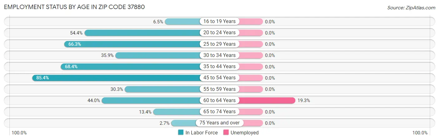 Employment Status by Age in Zip Code 37880
