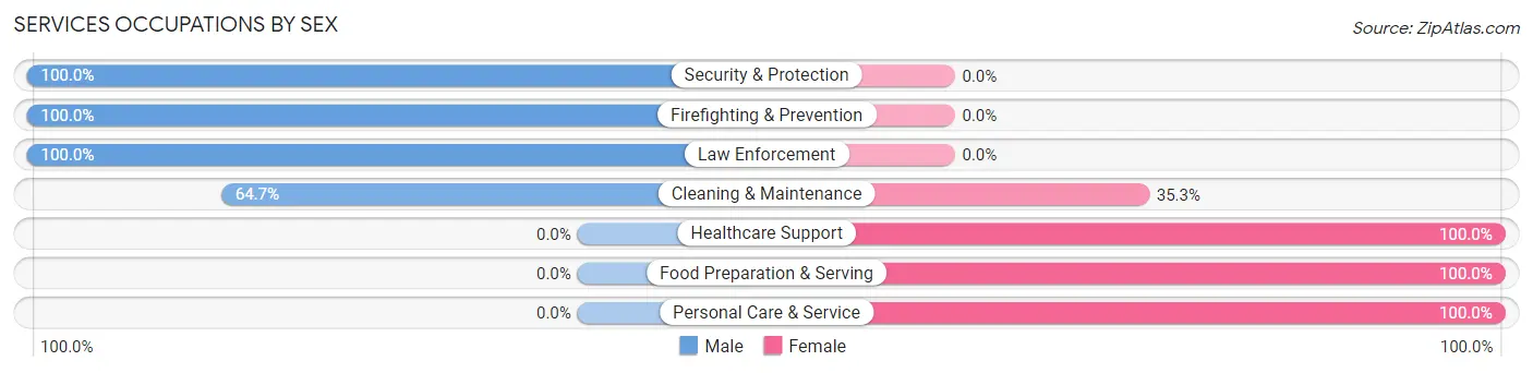 Services Occupations by Sex in Zip Code 37880