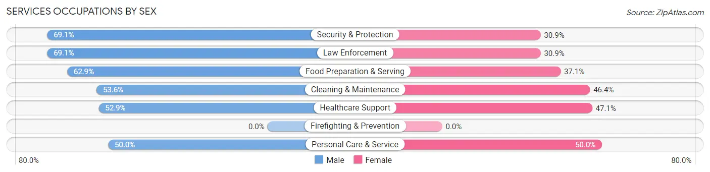 Services Occupations by Sex in Zip Code 37882