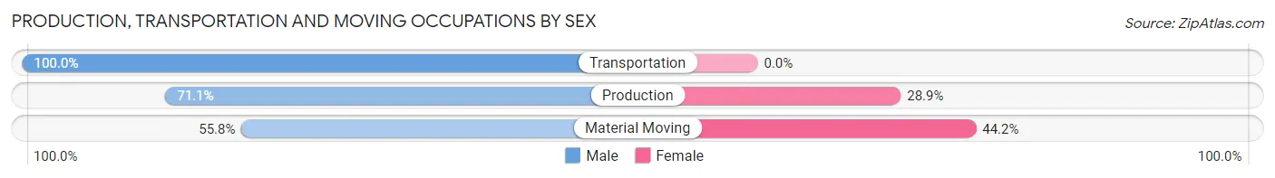 Production, Transportation and Moving Occupations by Sex in Zip Code 37885