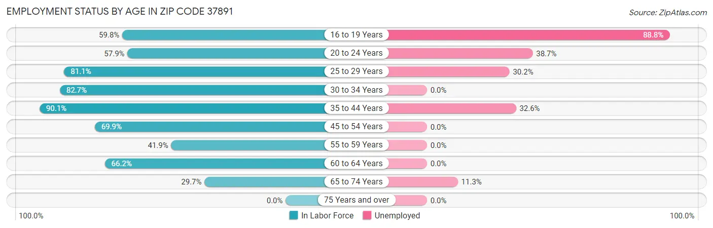 Employment Status by Age in Zip Code 37891