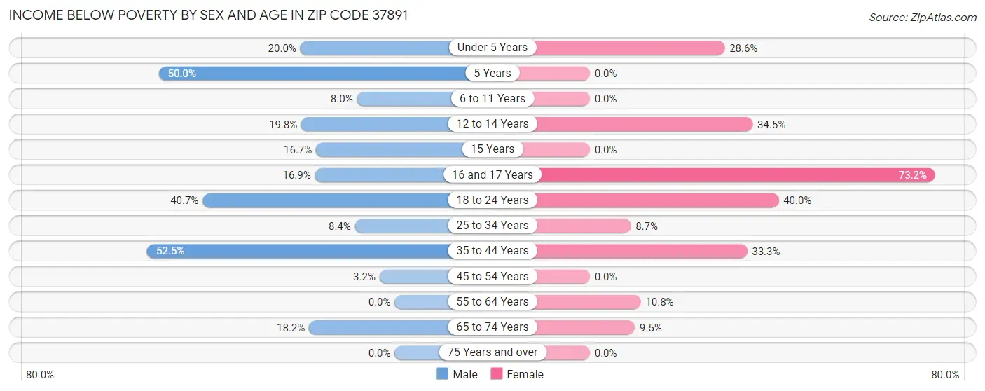 Income Below Poverty by Sex and Age in Zip Code 37891