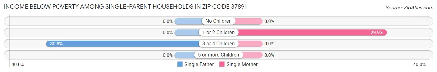 Income Below Poverty Among Single-Parent Households in Zip Code 37891