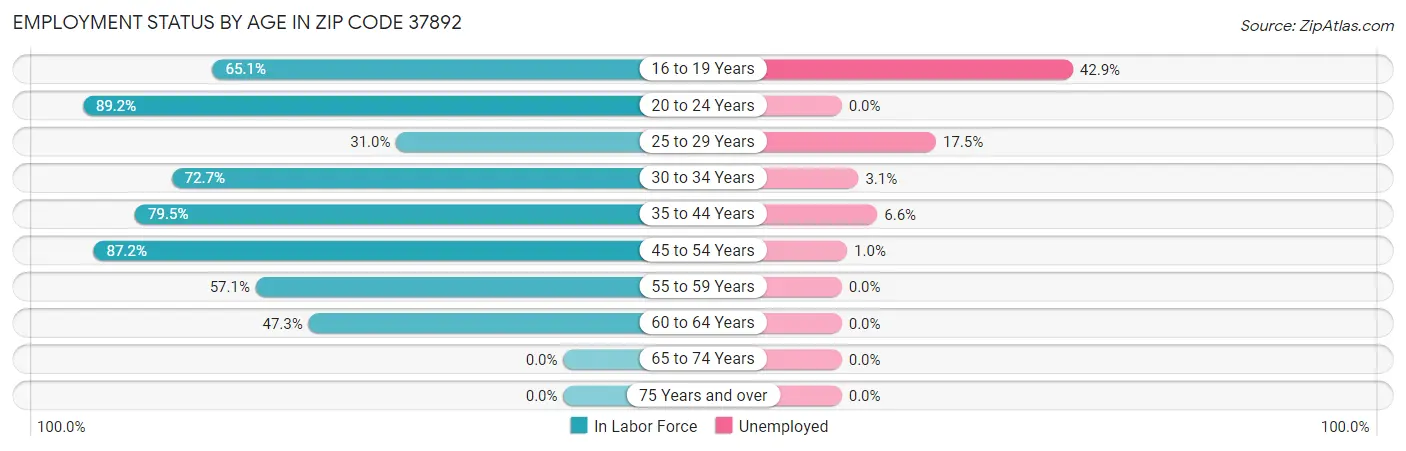 Employment Status by Age in Zip Code 37892
