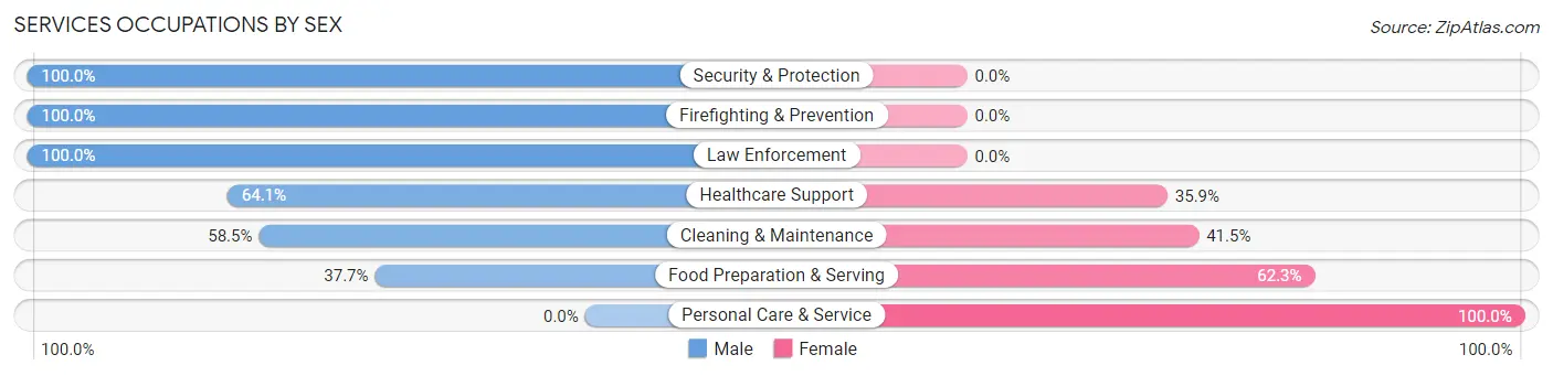 Services Occupations by Sex in Zip Code 37909