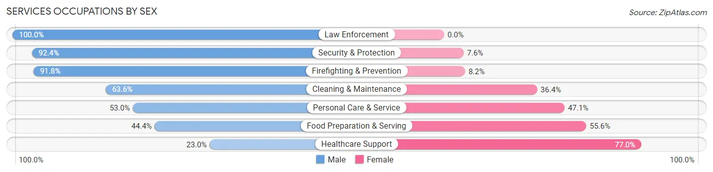 Services Occupations by Sex in Zip Code 37916