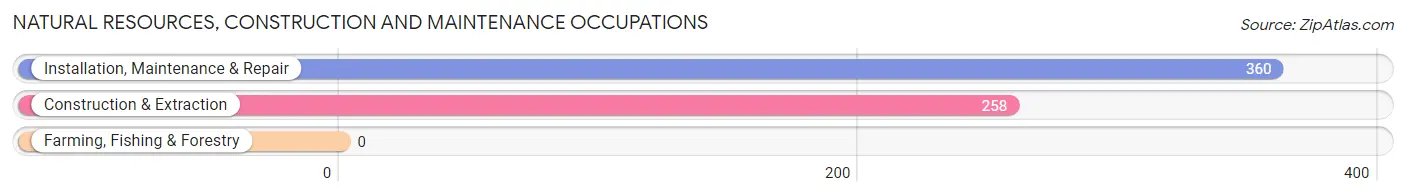 Natural Resources, Construction and Maintenance Occupations in Zip Code 37919