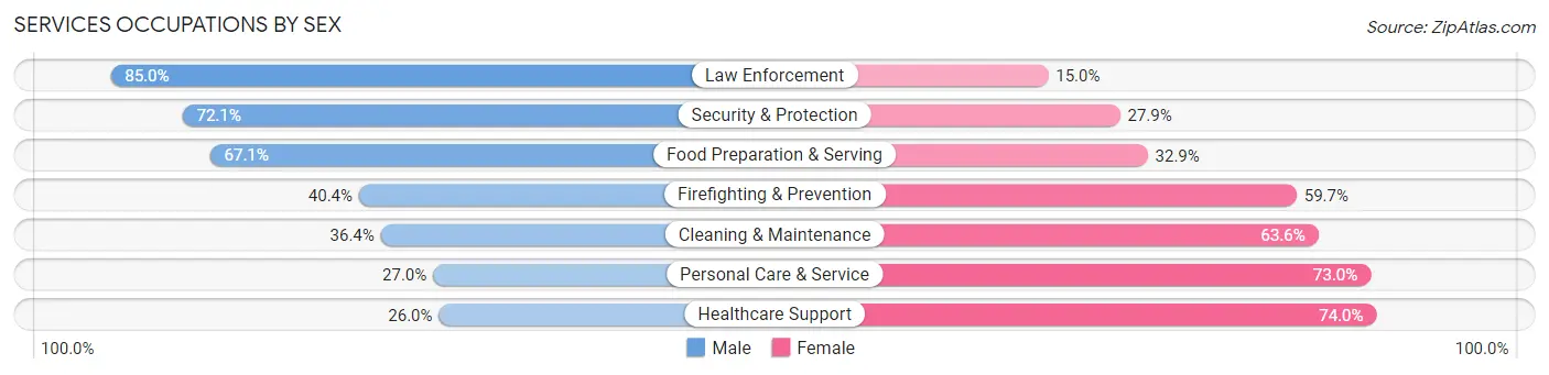 Services Occupations by Sex in Zip Code 37919