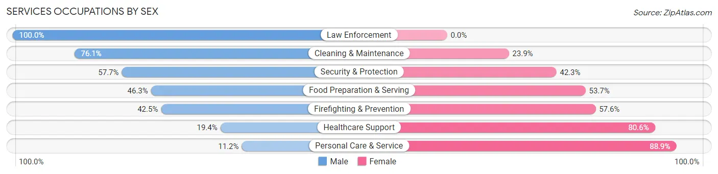 Services Occupations by Sex in Zip Code 37934
