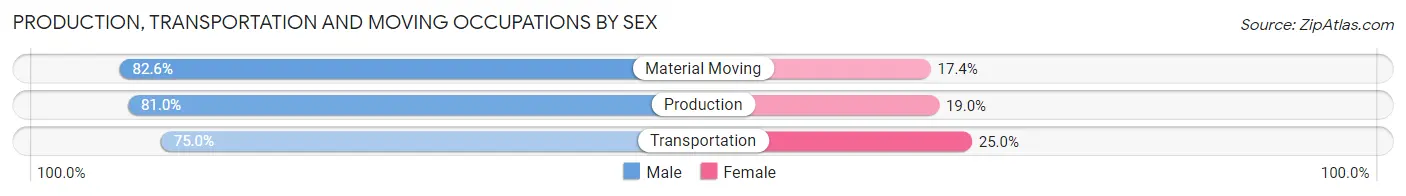 Production, Transportation and Moving Occupations by Sex in Zip Code 38001