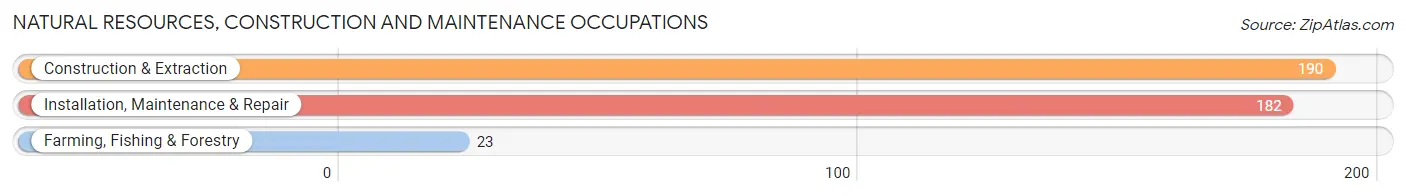 Natural Resources, Construction and Maintenance Occupations in Zip Code 38006