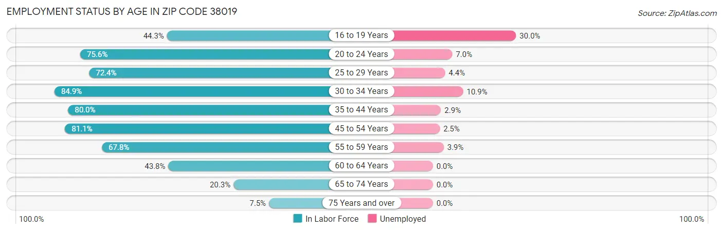 Employment Status by Age in Zip Code 38019