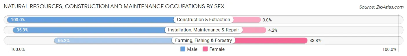 Natural Resources, Construction and Maintenance Occupations by Sex in Zip Code 38019