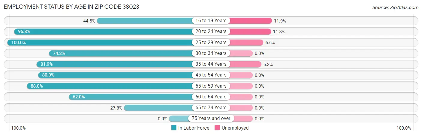 Employment Status by Age in Zip Code 38023
