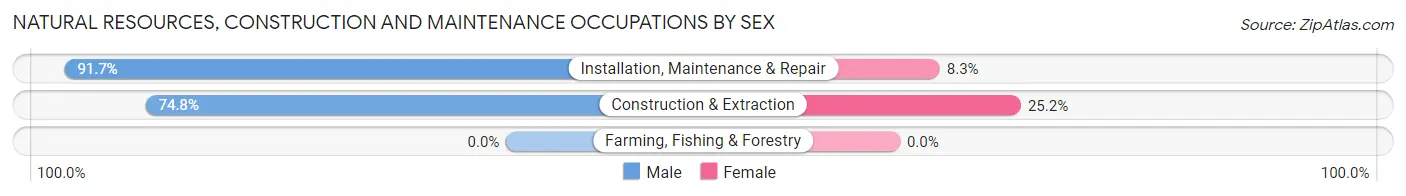 Natural Resources, Construction and Maintenance Occupations by Sex in Zip Code 38023