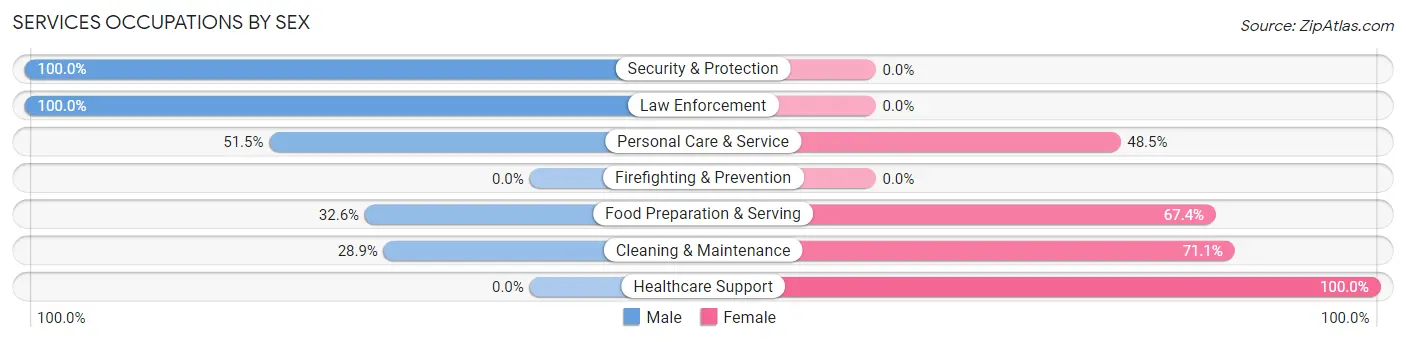 Services Occupations by Sex in Zip Code 38023