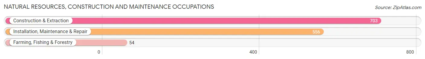 Natural Resources, Construction and Maintenance Occupations in Zip Code 38024