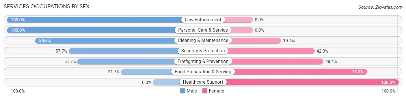 Services Occupations by Sex in Zip Code 38028
