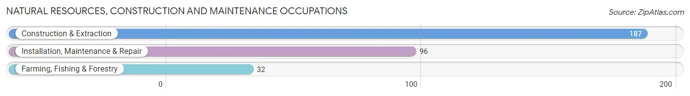 Natural Resources, Construction and Maintenance Occupations in Zip Code 38034