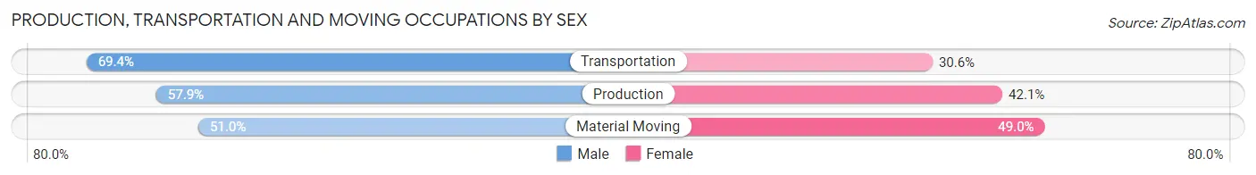 Production, Transportation and Moving Occupations by Sex in Zip Code 38034