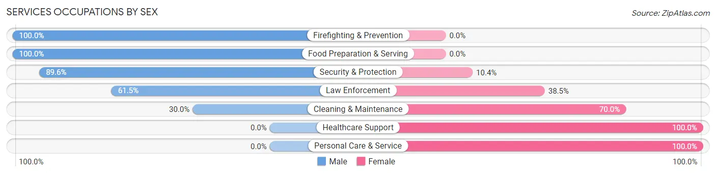 Services Occupations by Sex in Zip Code 38040
