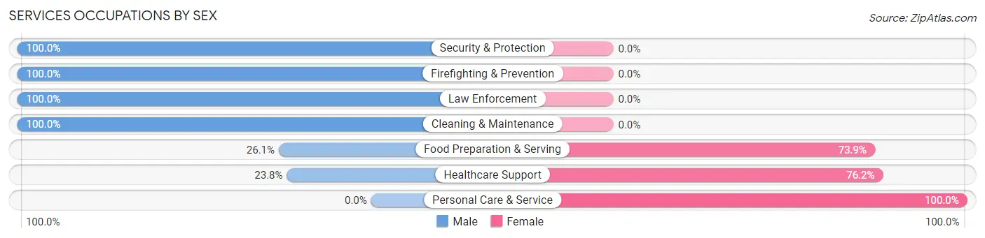 Services Occupations by Sex in Zip Code 38041