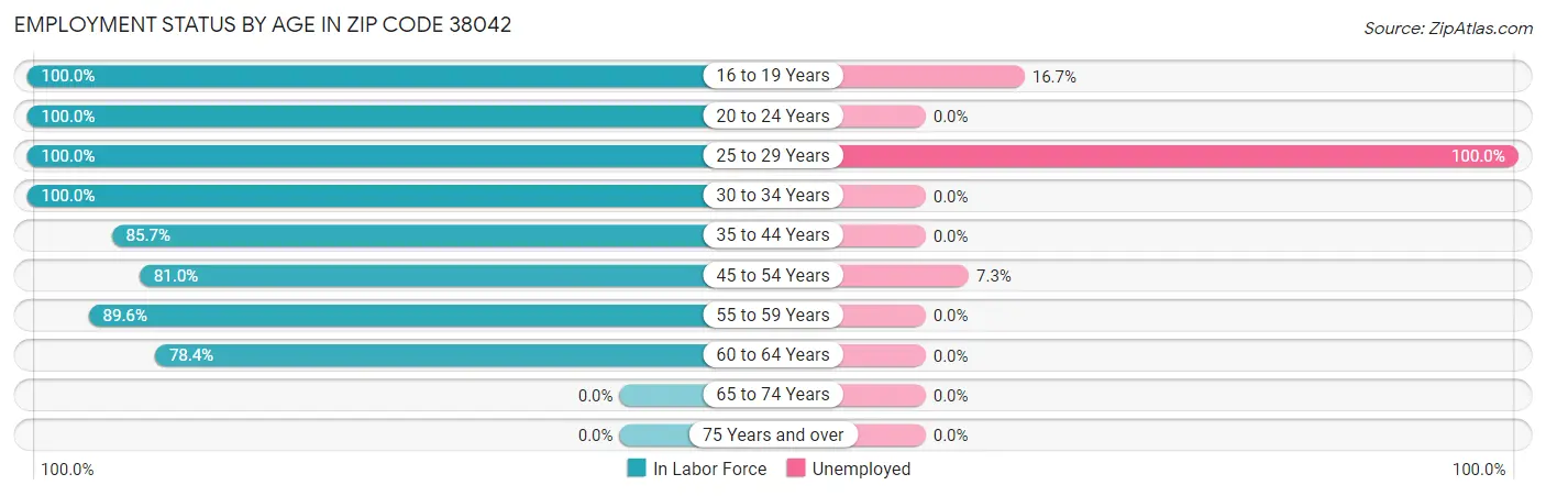 Employment Status by Age in Zip Code 38042