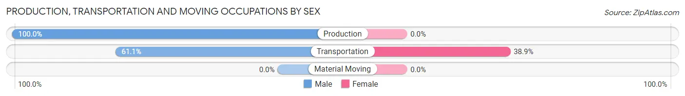 Production, Transportation and Moving Occupations by Sex in Zip Code 38042