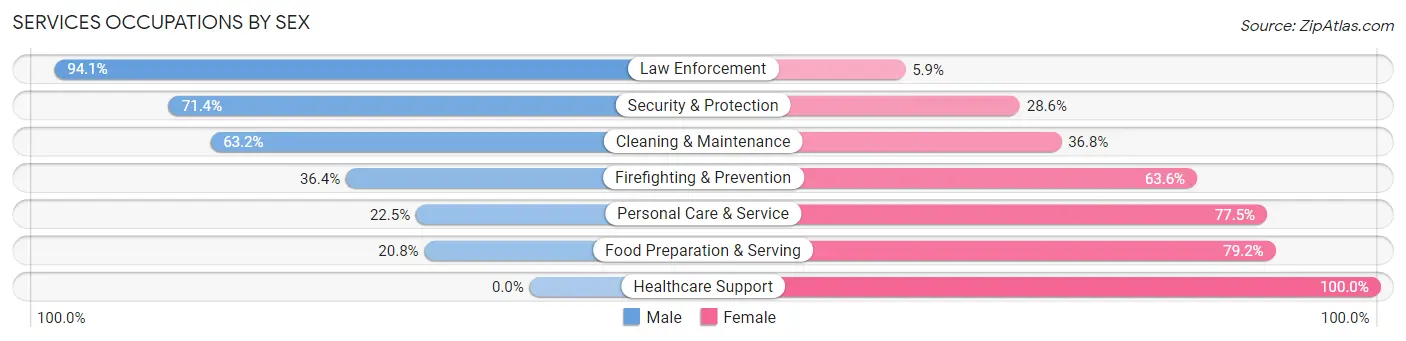 Services Occupations by Sex in Zip Code 38049