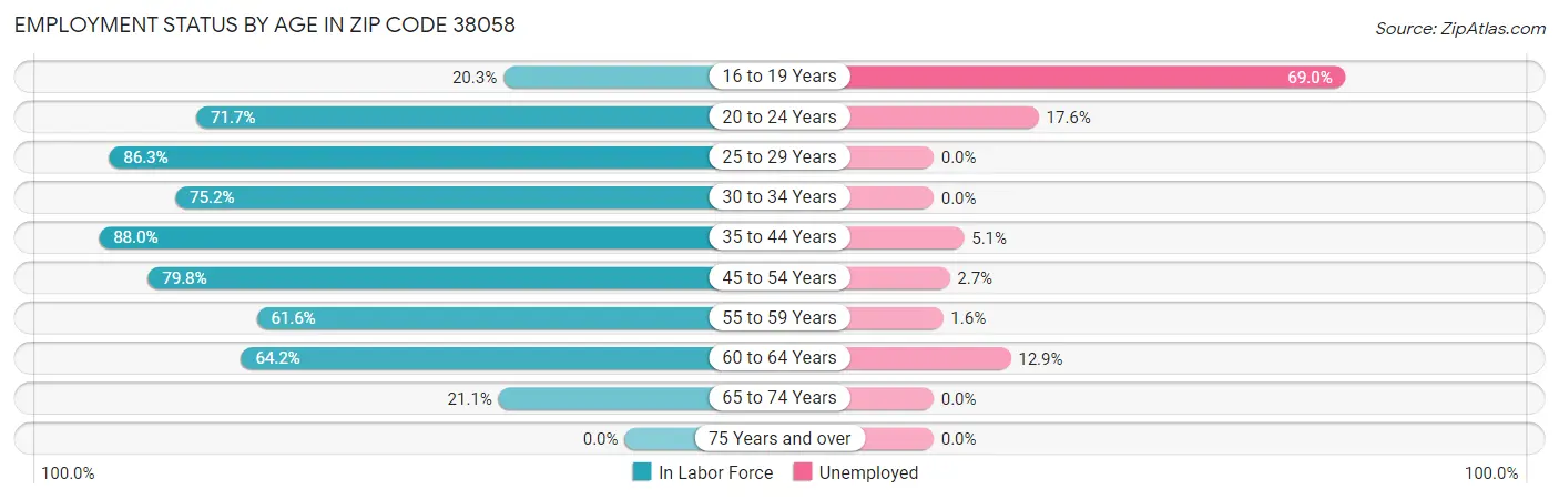 Employment Status by Age in Zip Code 38058