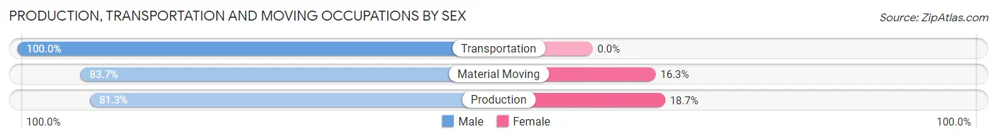 Production, Transportation and Moving Occupations by Sex in Zip Code 38058