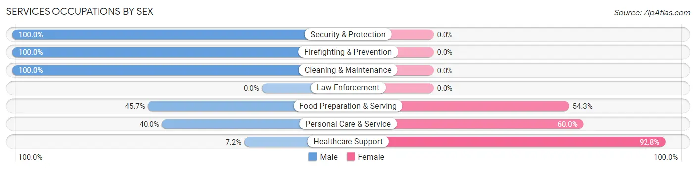 Services Occupations by Sex in Zip Code 38058