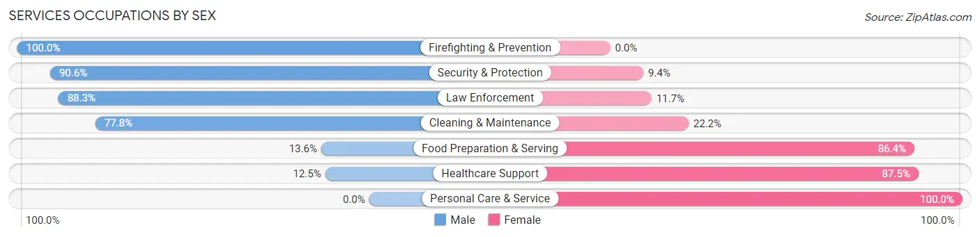 Services Occupations by Sex in Zip Code 38060