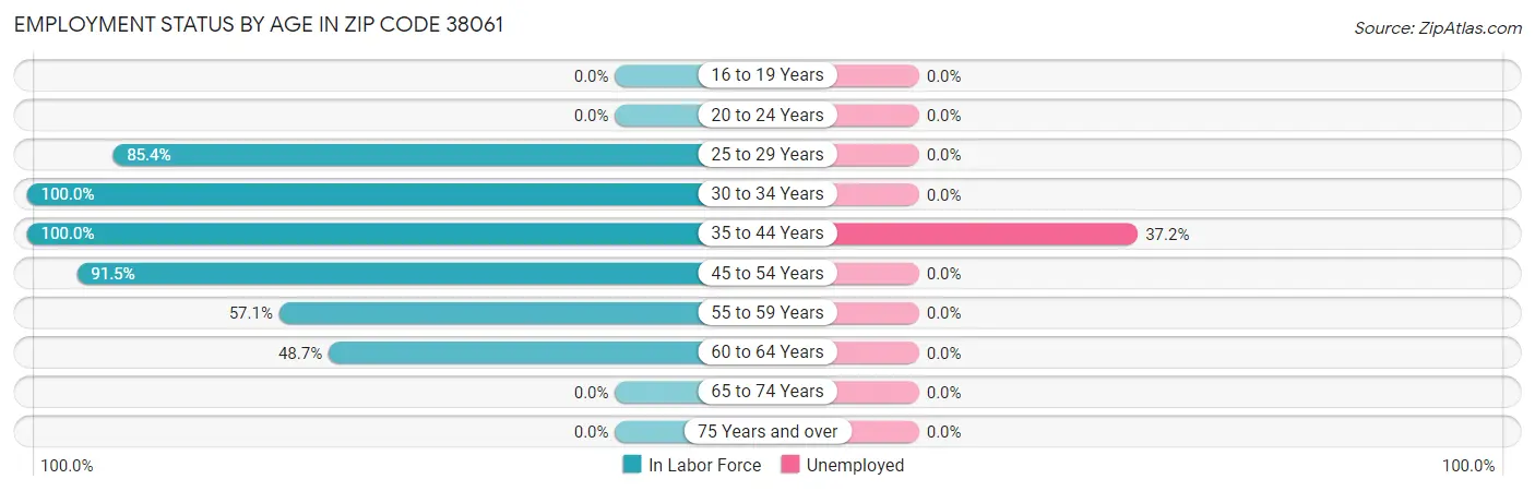 Employment Status by Age in Zip Code 38061