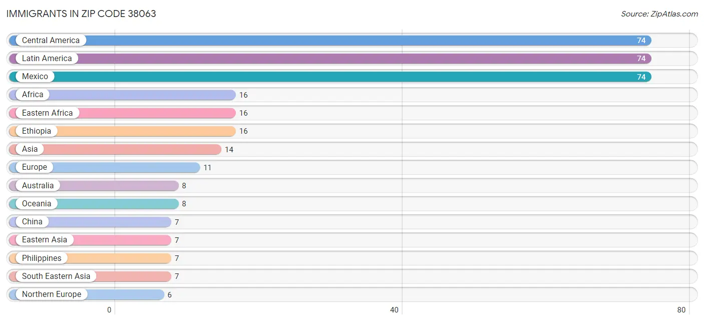 Immigrants in Zip Code 38063