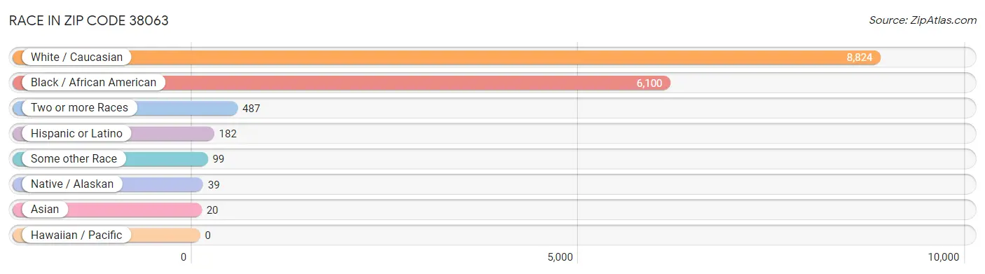 Race in Zip Code 38063
