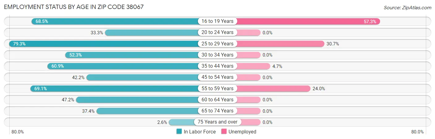 Employment Status by Age in Zip Code 38067