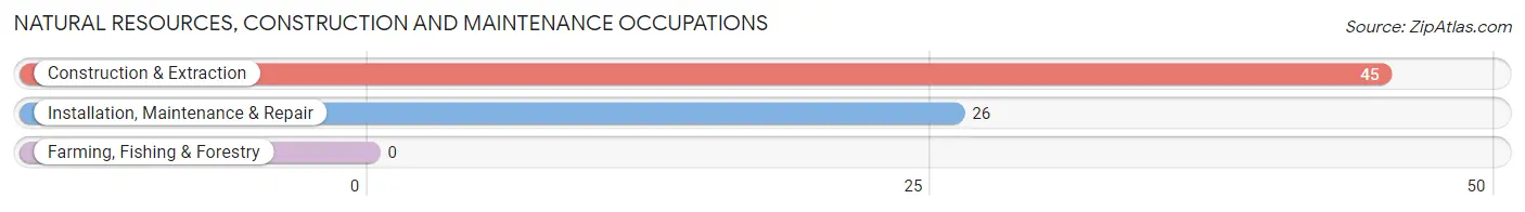 Natural Resources, Construction and Maintenance Occupations in Zip Code 38069