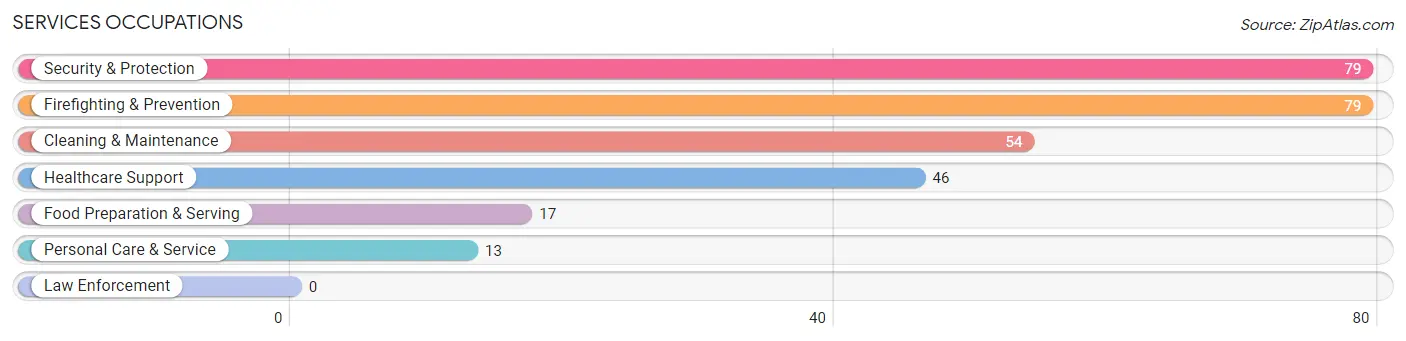 Services Occupations in Zip Code 38069