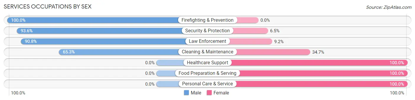 Services Occupations by Sex in Zip Code 38079